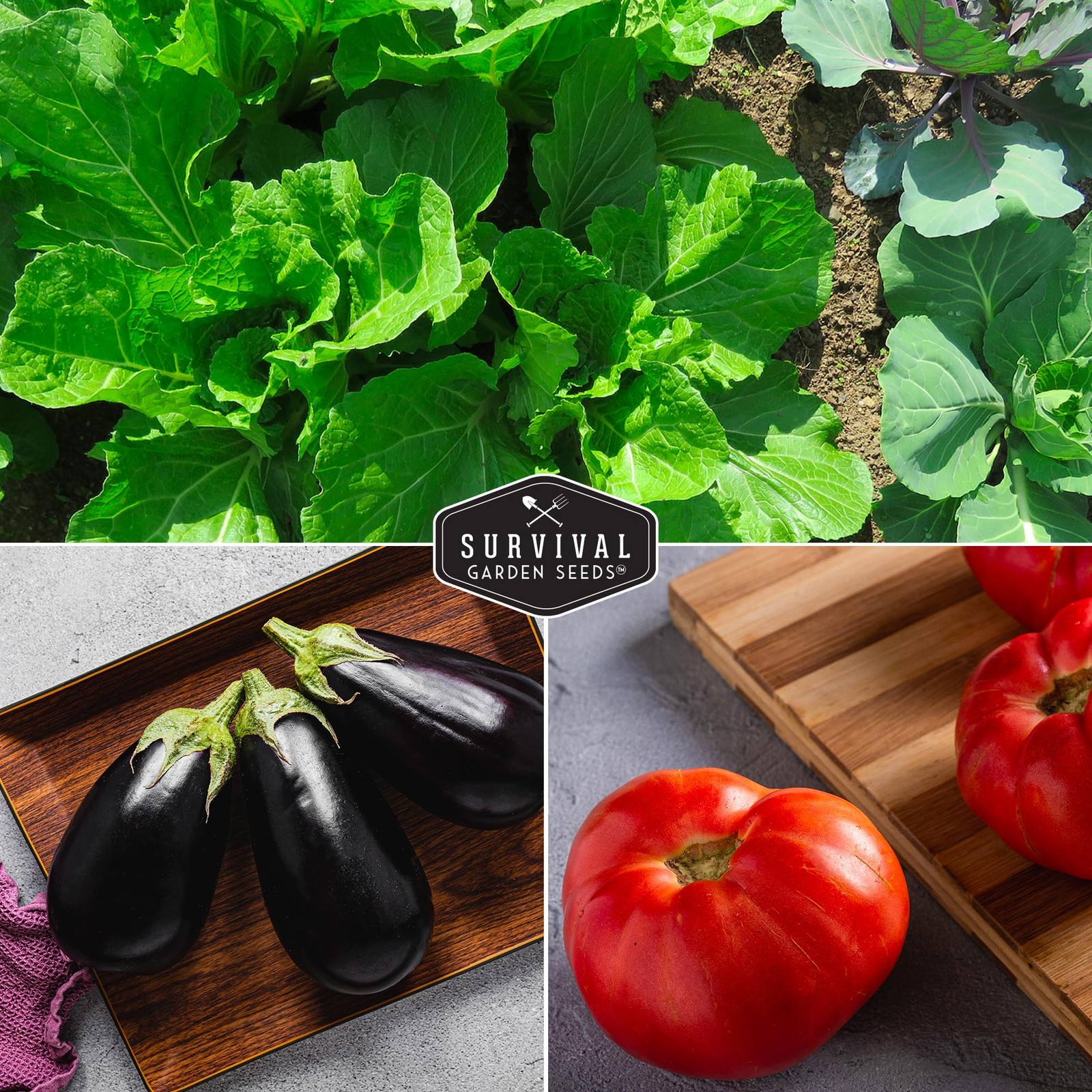 Vegetable Seed Vault Set 15 Varieties Variety Pack for Planting New