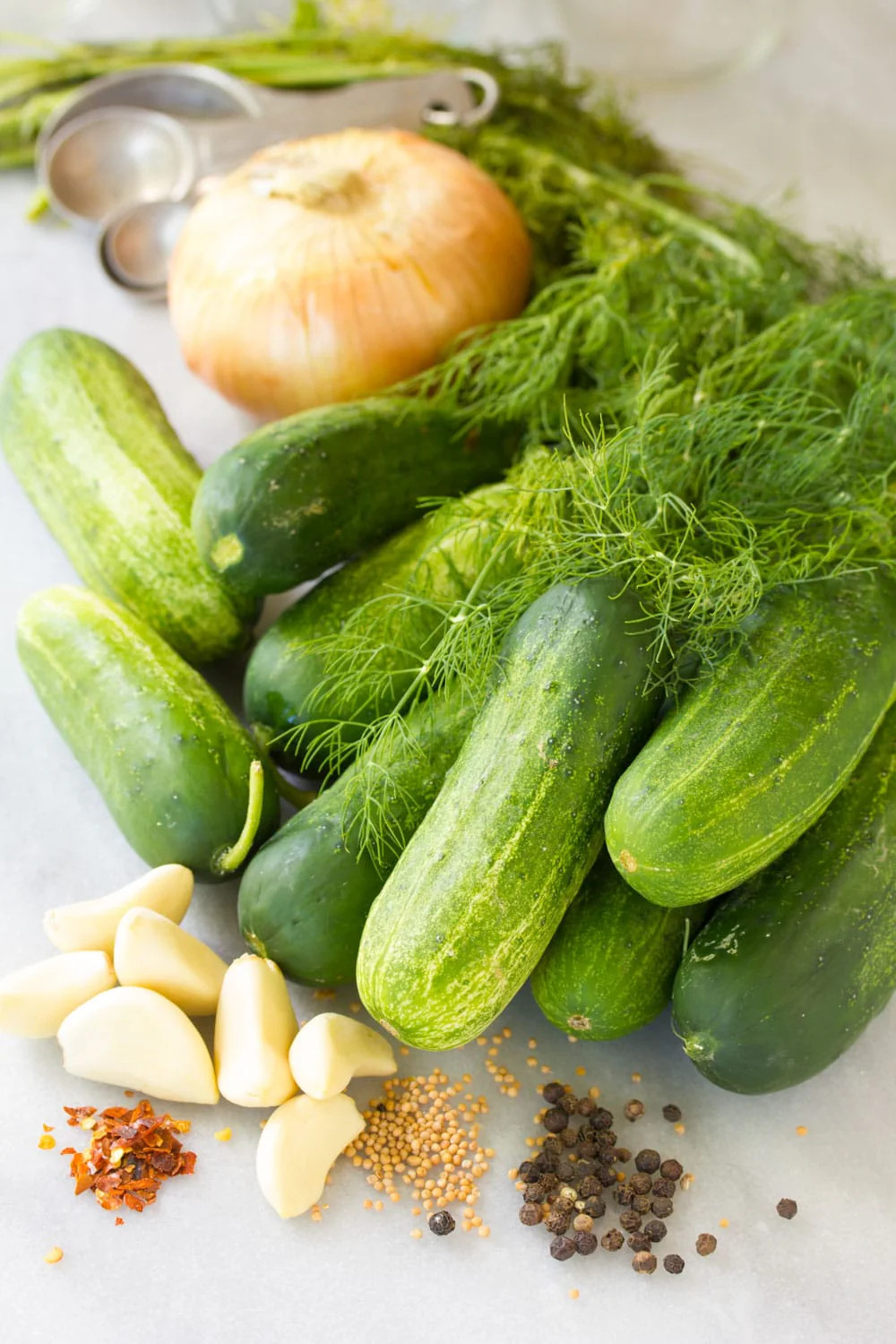 Wisconsin SMR58 Pickling Cucumber Seeds | Virus Resistant Top Producer Seed 2024