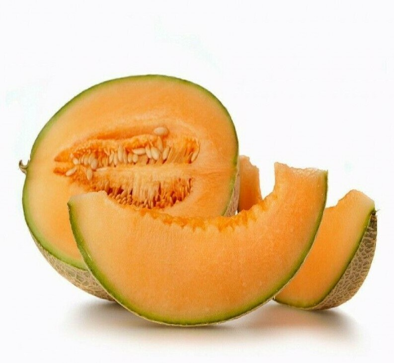 Hale’s Best Jumbo Cantaloupe Seeds 50+ Melon Fruit USA NON-GMO FREE SHIPPING
