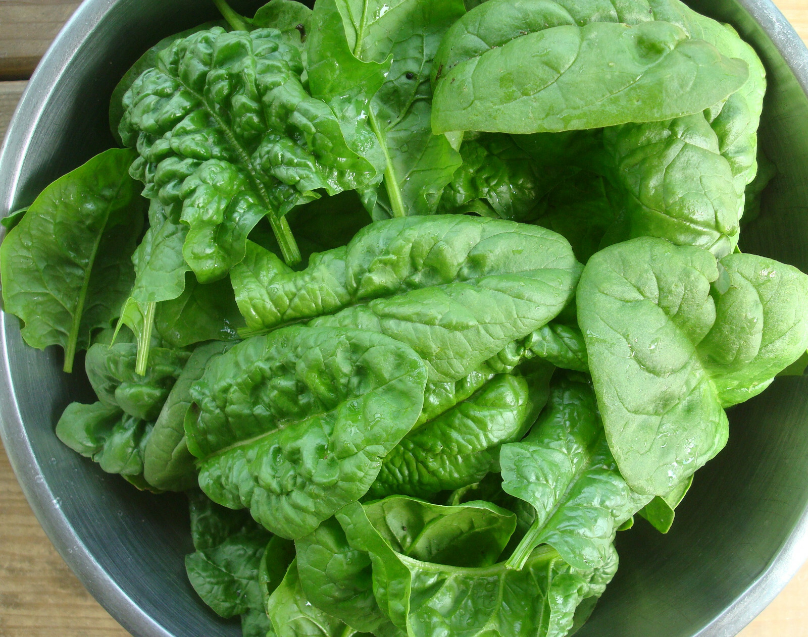 Bloomsdale Spinach 30 – 200 Seeds Longstanding Slow bolt Heirloom Non-GMO