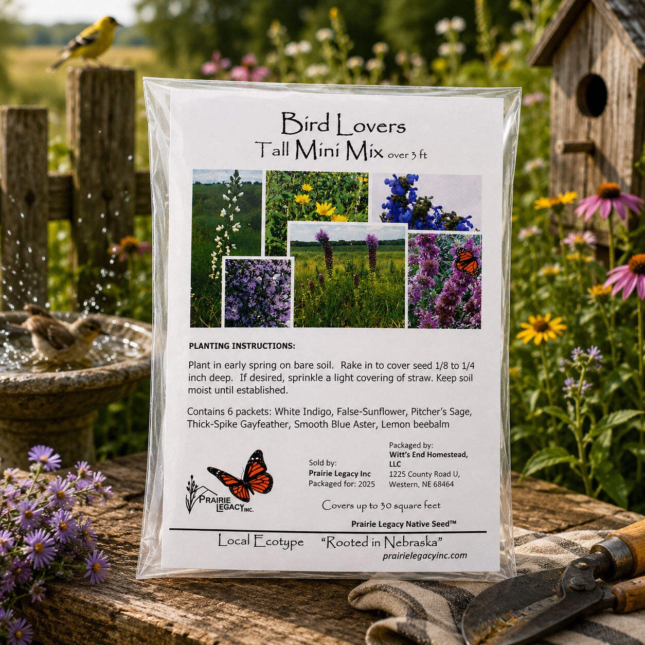 Backyard Bird Wildflower Bundle | Tall & Short Mini Mixes | Prairie Legacy Inc.