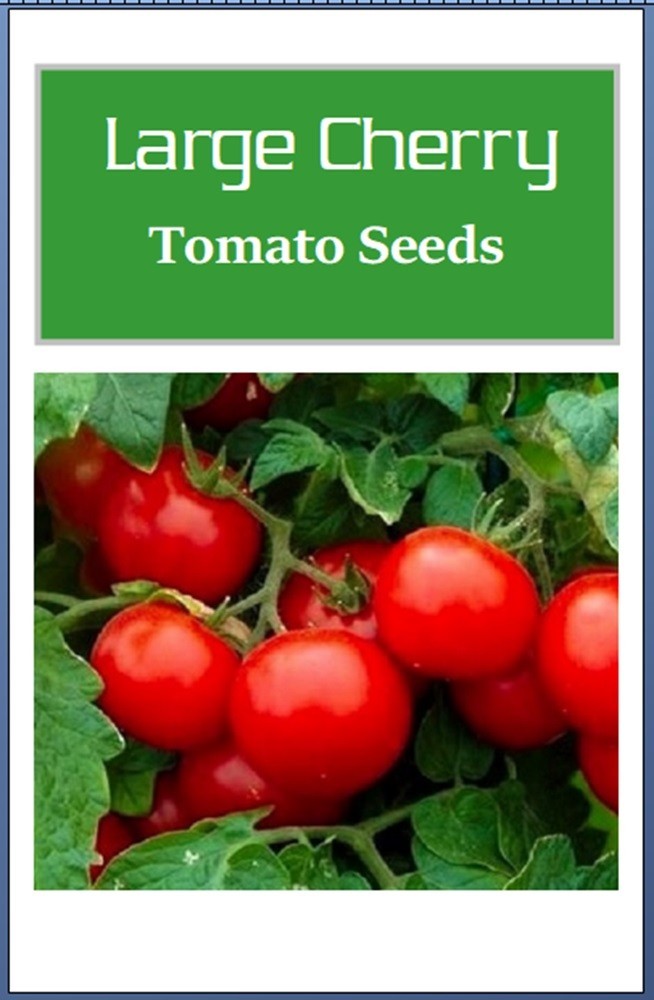 Cherry Tomato Seeds Large | NON-GMO | Heirloom | Fresh Vegetable Seeds