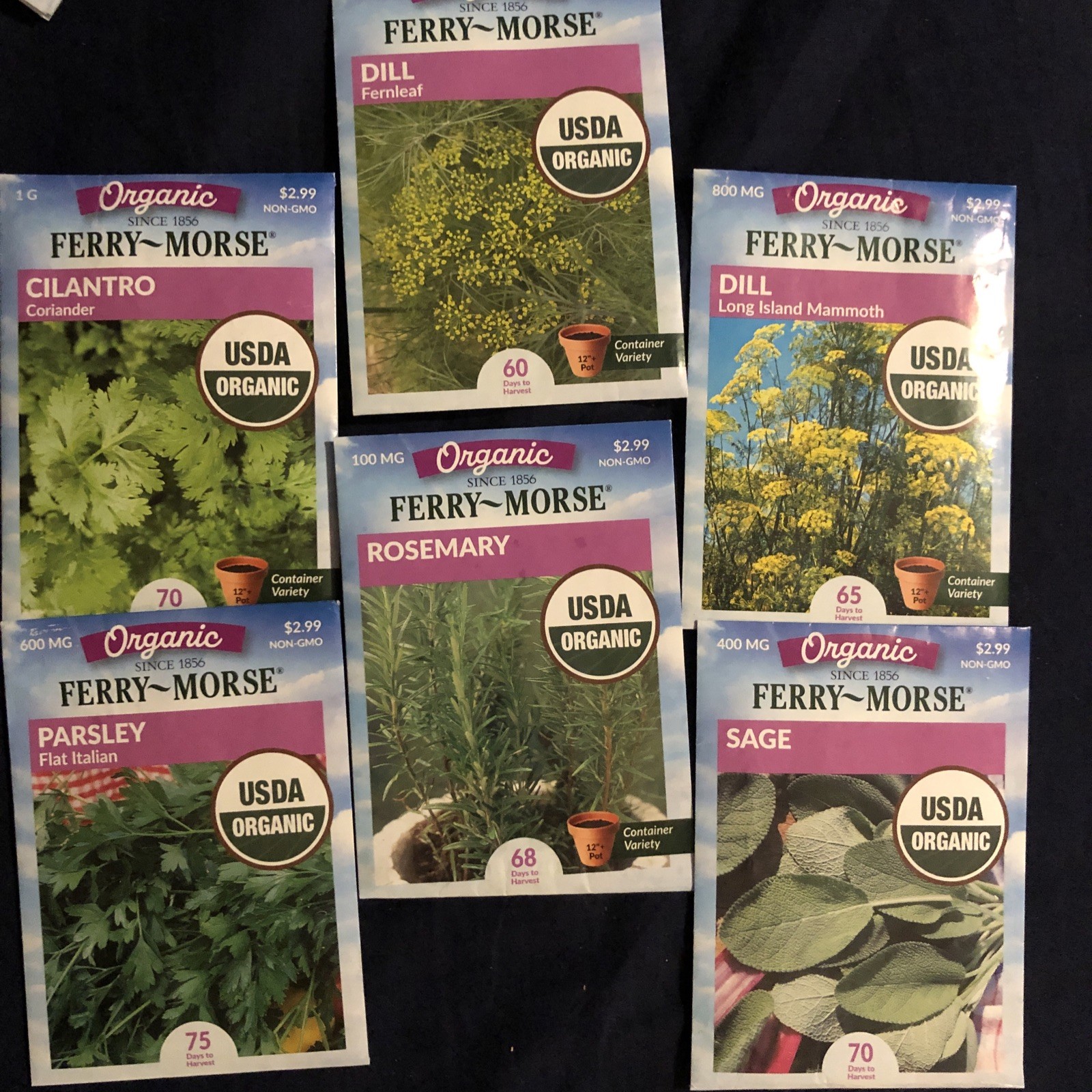 Cilantro, 2 Dill, Parsley, Rosemary, Sage ￼seeds FERRY-MORSE garden starters