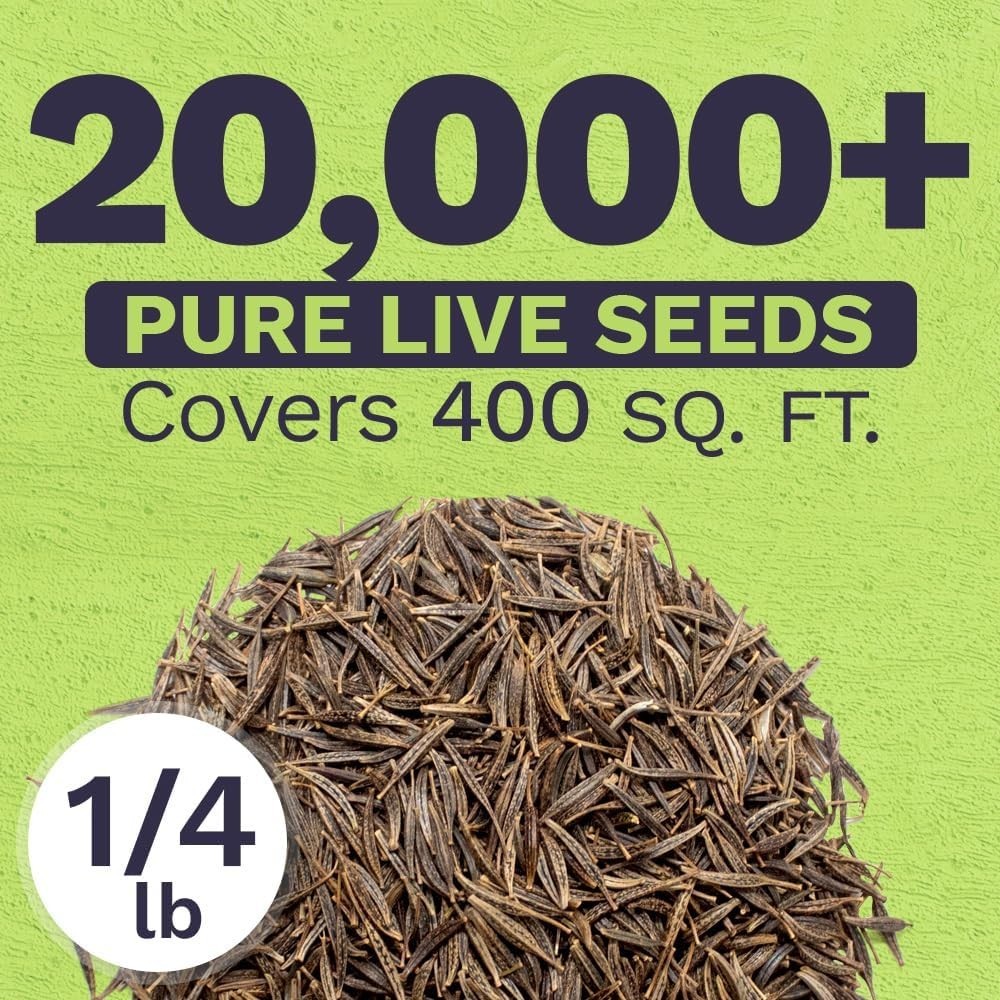 Cosmos Seeds Wildflower Mixture – Bulk Quarter Pound Bag – Over 20,000 Seeds …