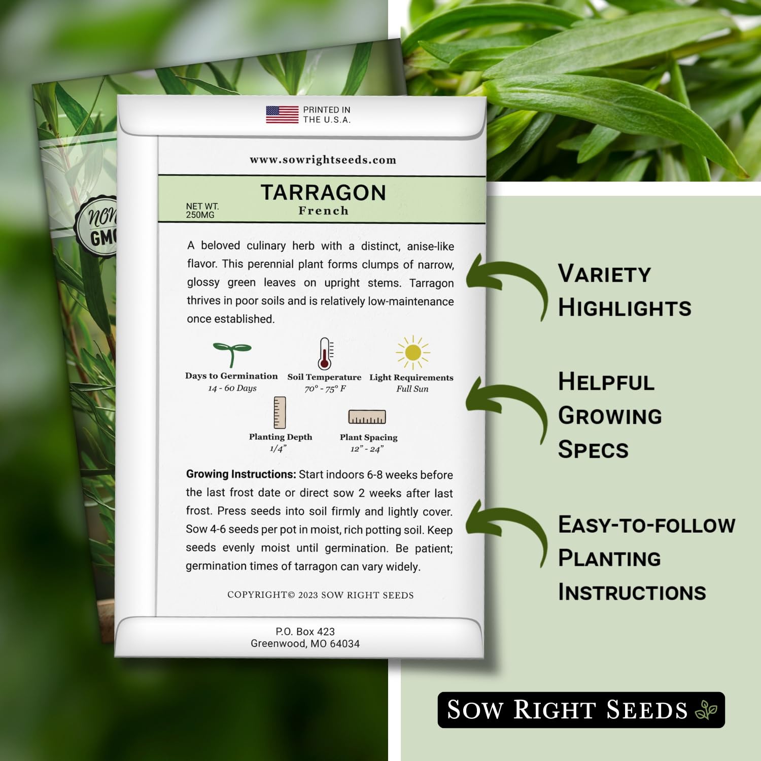 – French Tarragon Seeds for Planting – Non-GMO Heirloom Packet with Instructi…