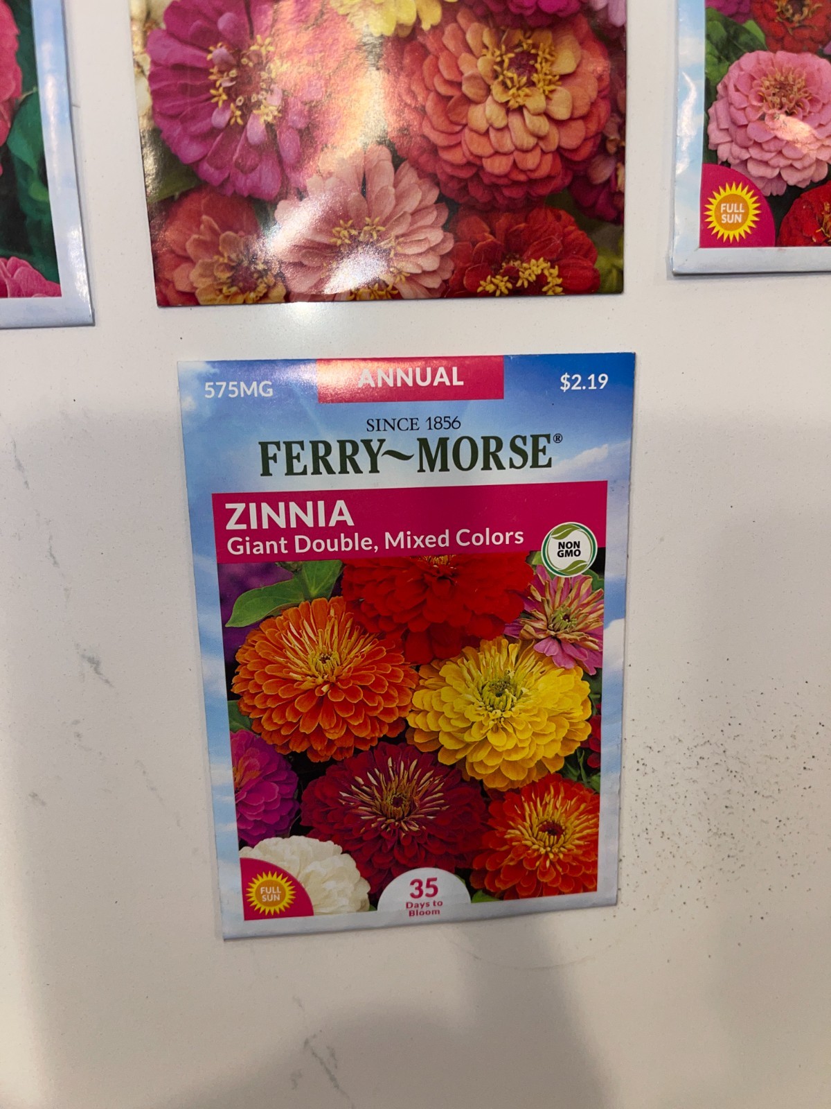 10 PACK BUNDLE LOT ZINNIA SEEDS