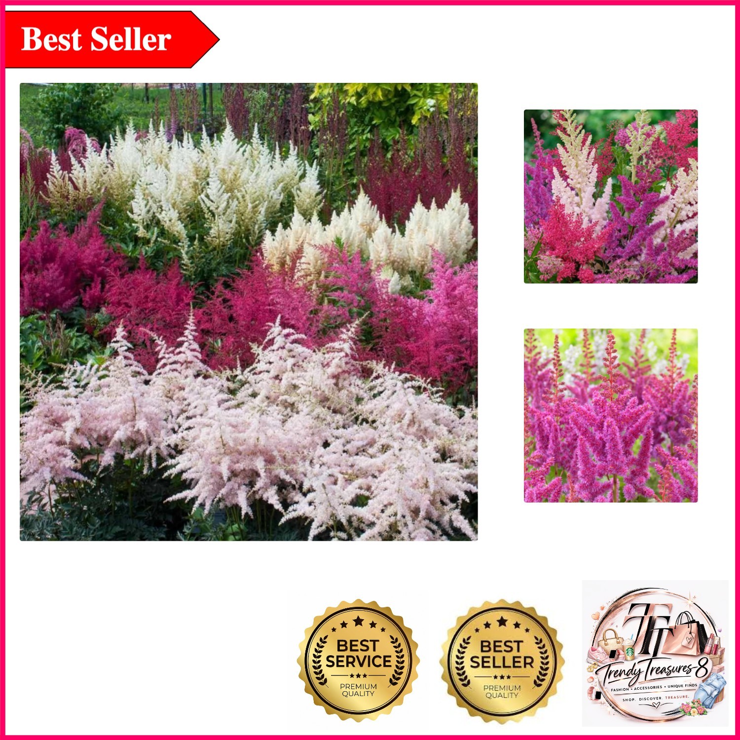 1000+ Astilbe Seed Pack – Fragrant, Deer-Resistant Perennial for Vibrant Shad…