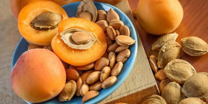 Bitter Apricot Seeds Extract Capsules 500mg