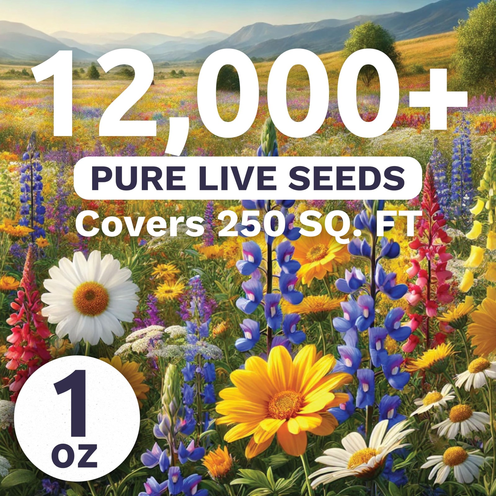 Southeast Regional Mix – Large 1 Ounce Packet – 12,000 Flower Seeds for Plant…