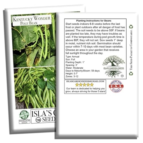 Kentucky Wonder Pole Bean Seeds (Phaseolus vulgaris) – 30+ Non-GMO Heirloom