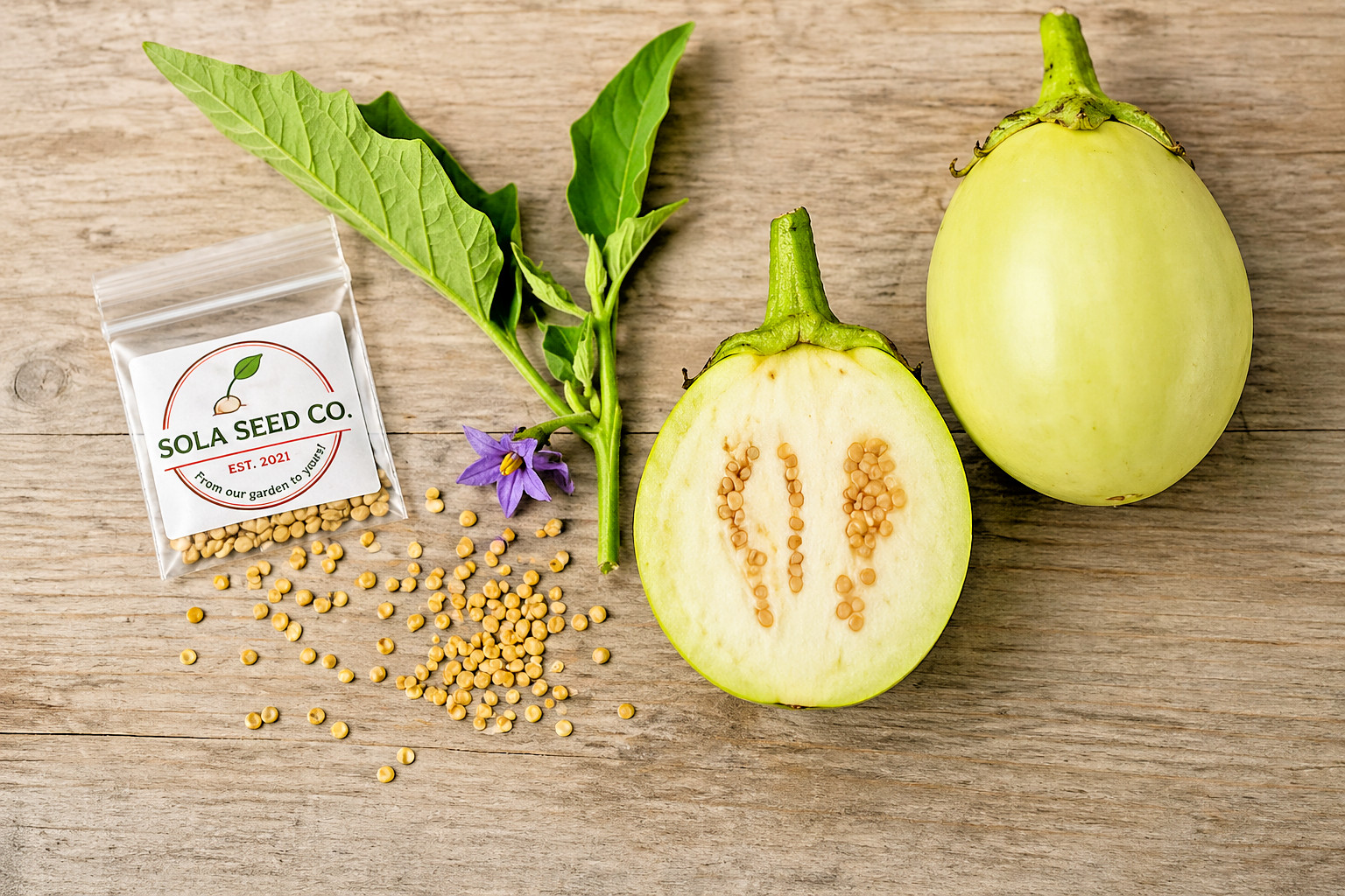 20 Apple Green Eggplant seeds-Solanum Melongena- American Heirloom- Non GMO USA