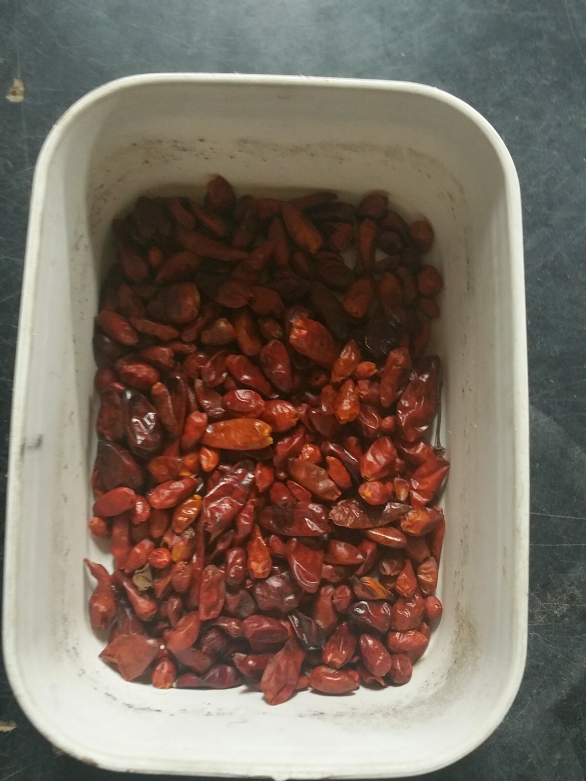 50+Seeds of Pequin Piquin chili similar to Chiltepin Tepin Pepper US Grower