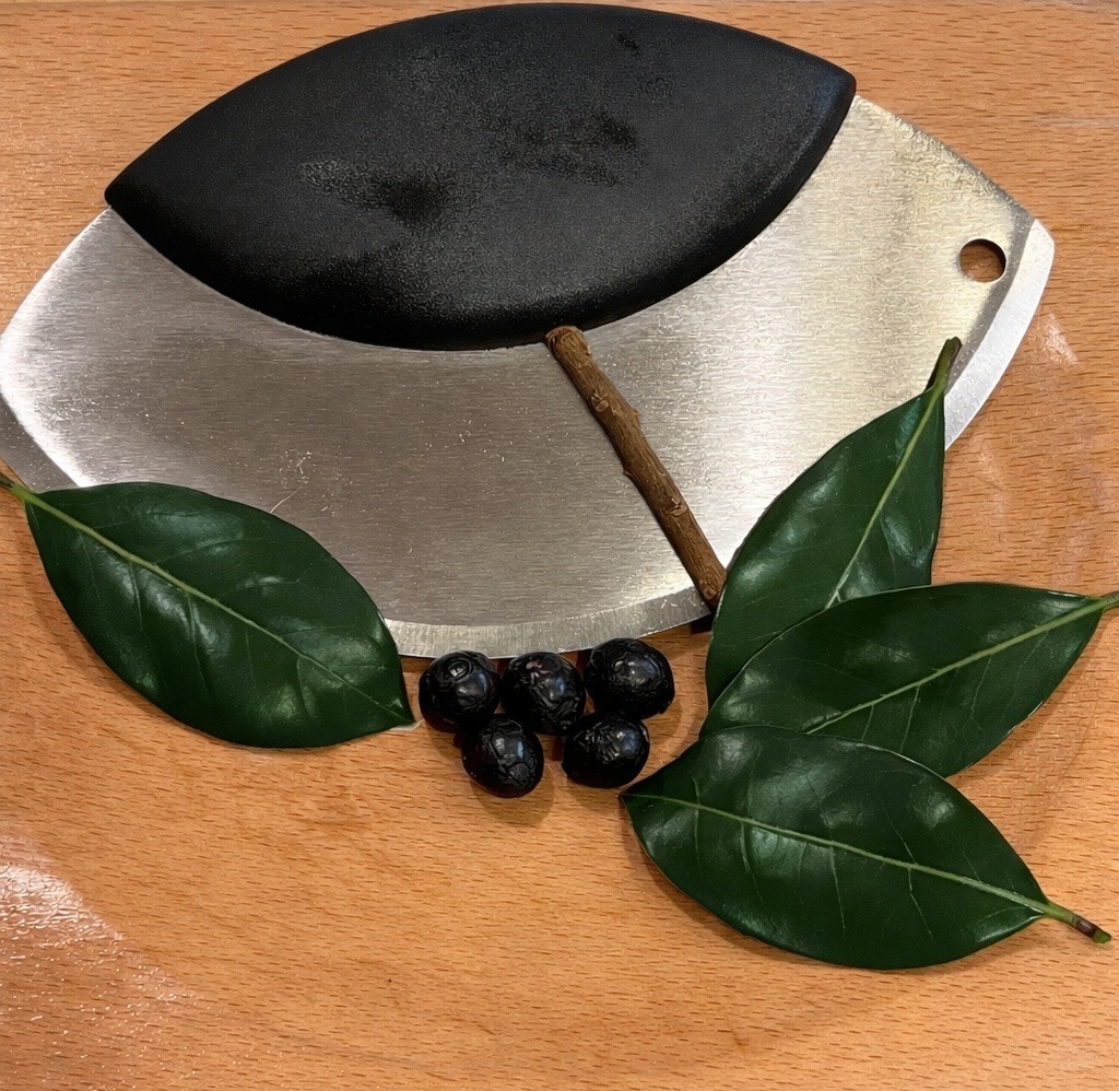 5 Seeds Bay Leaf Plant Sweet Bay, Bay Laurel, True Laurell, Laurus Nobilis by Fo