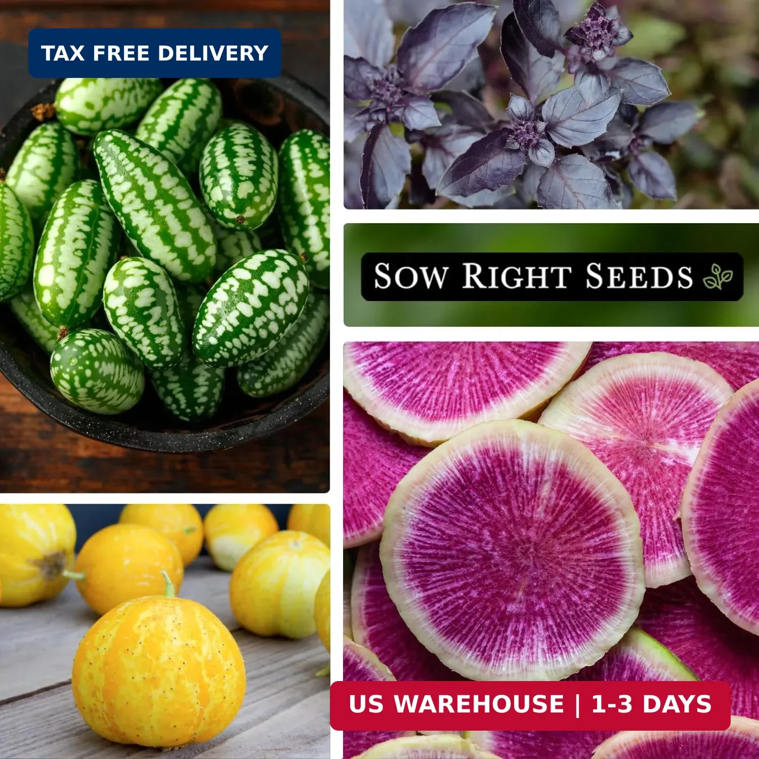 Sow Right Seeds – Rare Exotic Vegetable Seed Collection for Planting – Non-GMO H