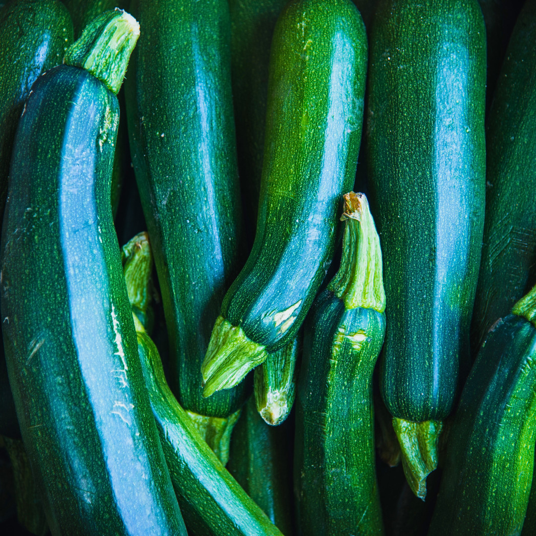 Fresh Premium Black Beauty Zucchini Seeds | Heirloom Non-GMO | Vegetable Seeds