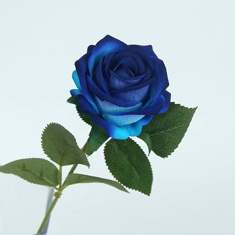 25pc BLACK ROSE SEEDS Garden Plant Flower rare exotic USA seller FREE shipping