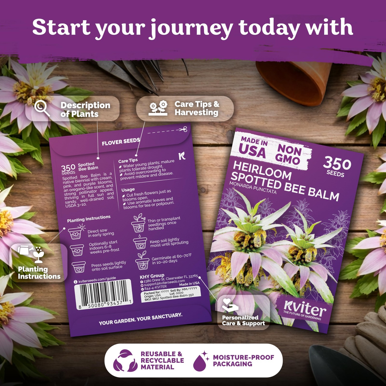 350 Spotted Bee Balm Seeds (Monarda Punctata) – Horsemint, Aromatic Oregano S…