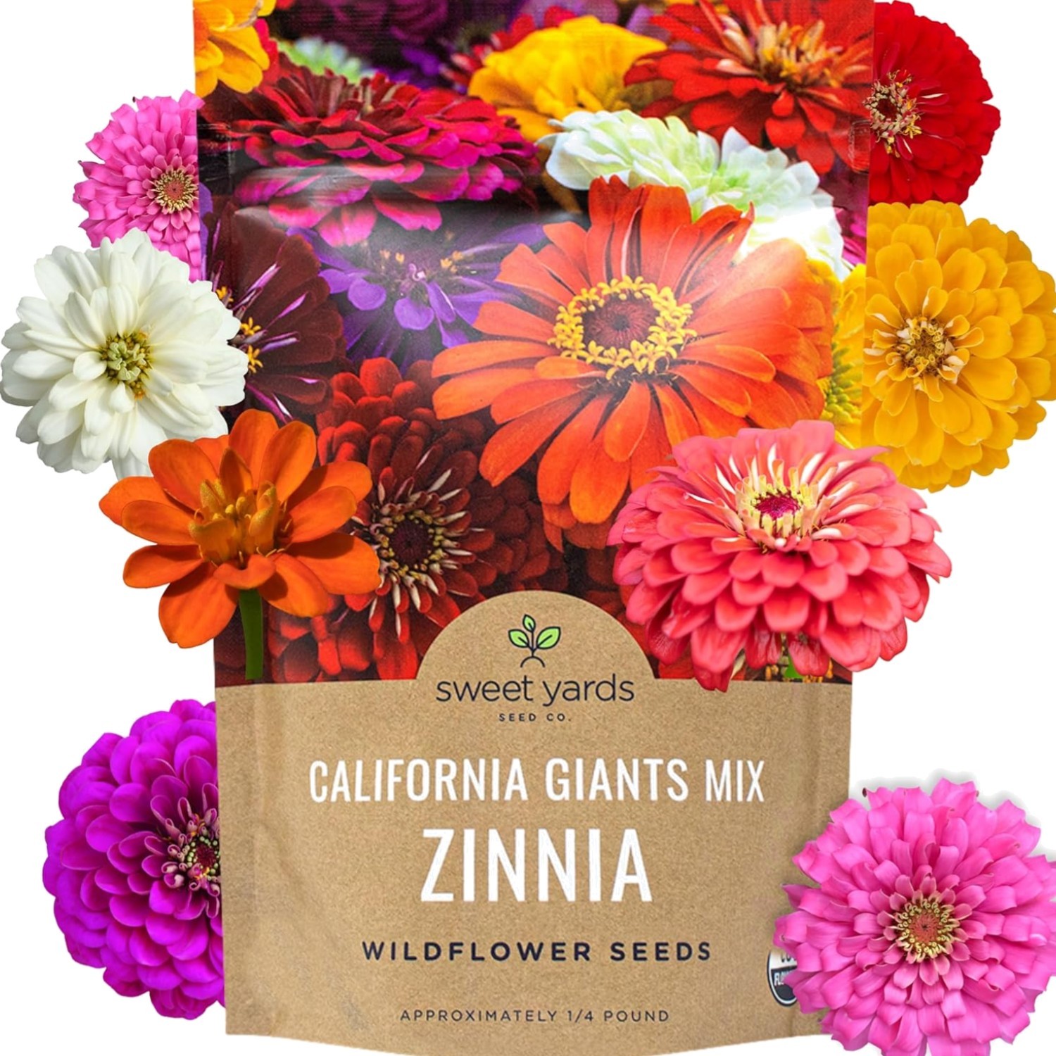 Bulk Zinnia Seeds – California Giants Mix – Bulk 1/4 Pound Bag Over 12,000 Fl…