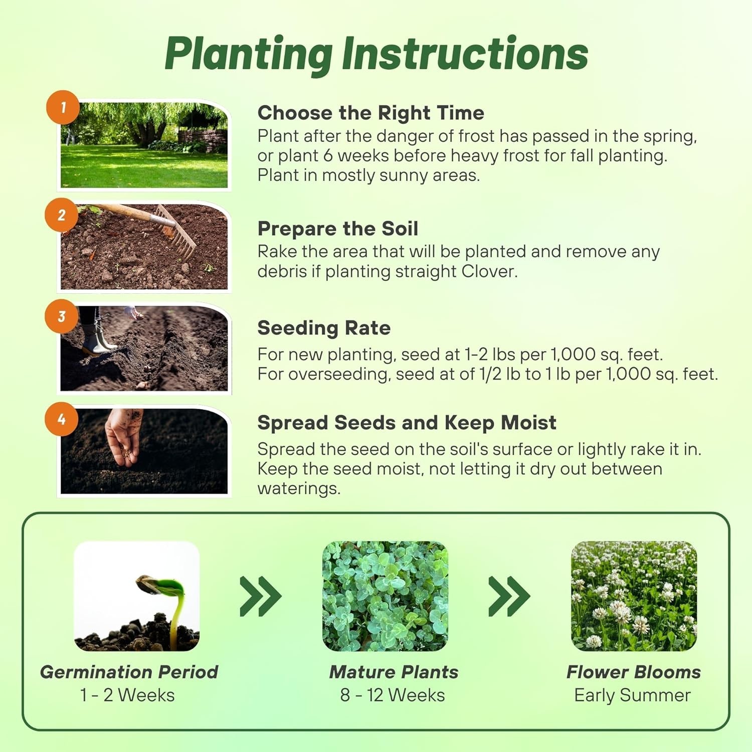 Erosion Control & Food Plot Clover Seed – 1/4 lb Nitrocoated White Dutch Clover