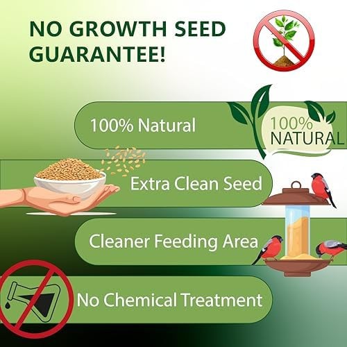 Happy Wings Shelled Peanuts Seeds Wild Bird Food – 5 Pounds I No Grow Seed I …