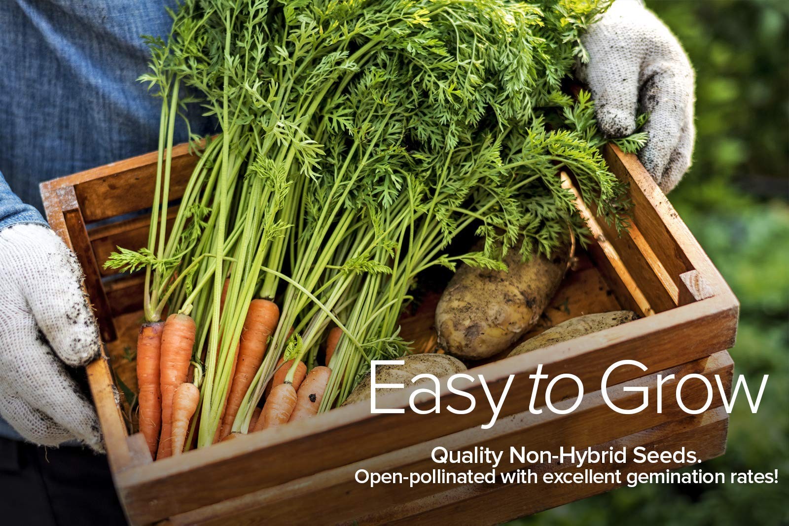 Winter, Fall, and Spring Vegetable Seeds for Planting | Cool Weather Crops | …