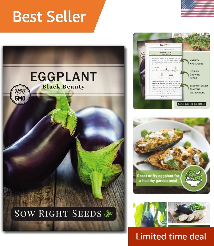 Easy-to-Grow Black Beauty Eggplant Seeds – High Germination Rate, Purple Fruits