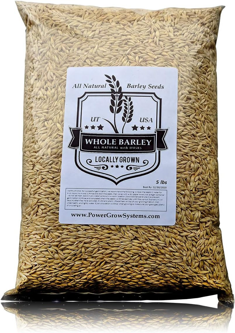 Barley Seeds – All Natural 5 Pounds Whole Barley Seed for Juicing, Malt Brewing,