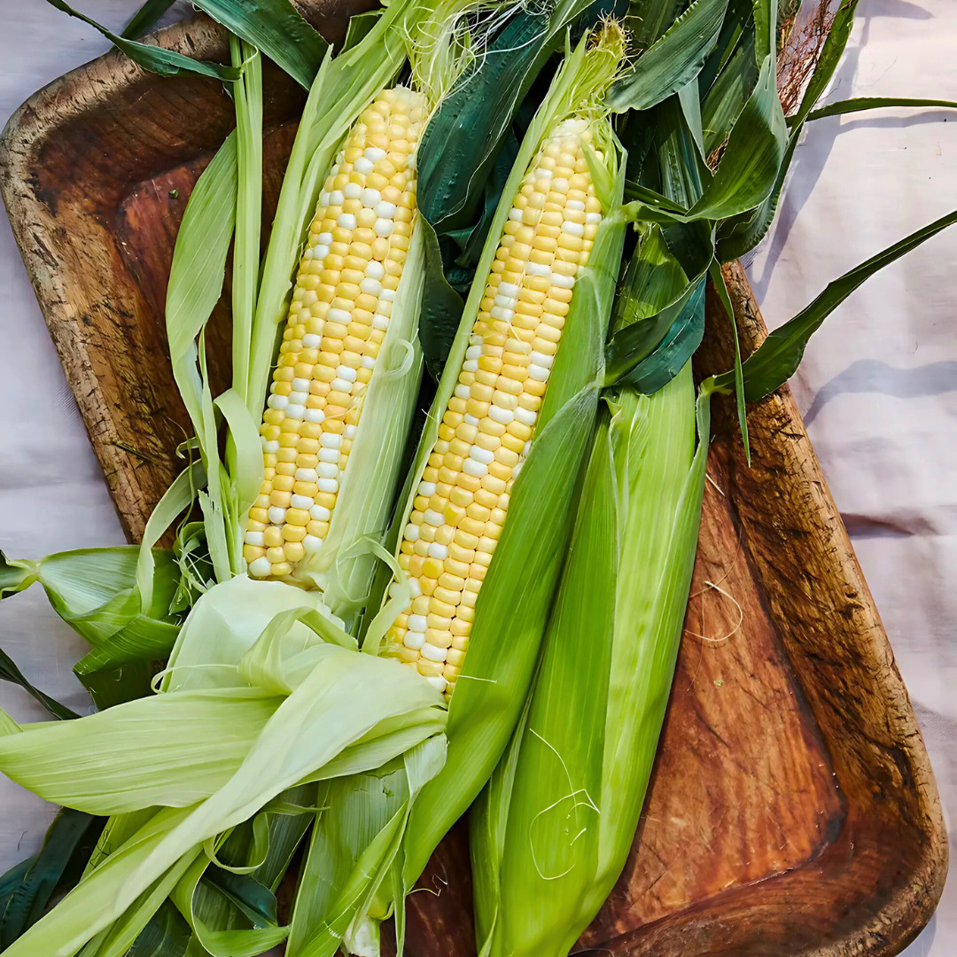 Fresh Peaches and Cream Corn Seeds | Sweet | Heirloom Non-GMO | Vegetable Seeds