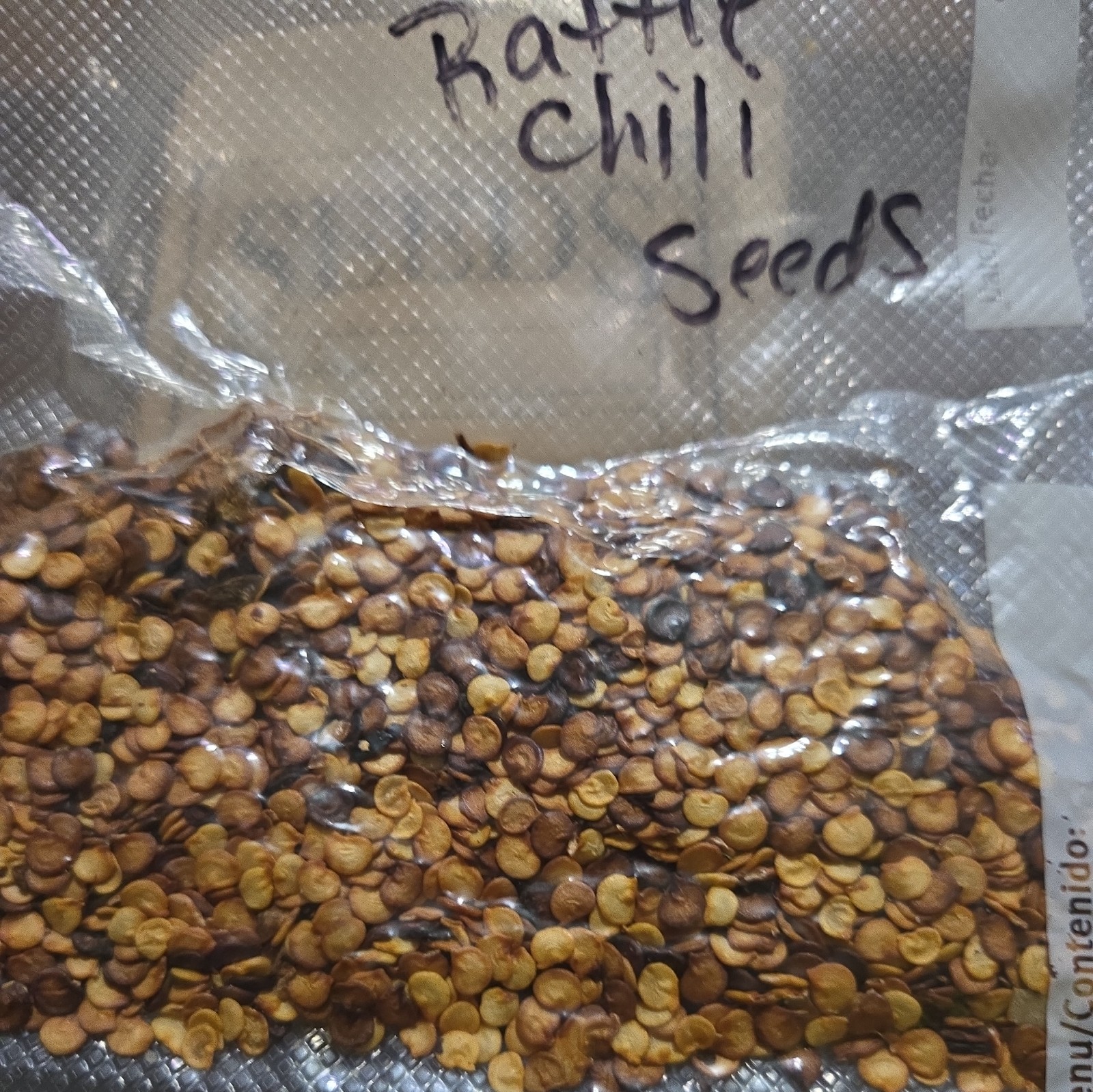 [RATTLE SNAKE CHILI] PEPPER SEEDS [FREE SHIPPING USA] {RARE SEEDS}aprox 50 seeds