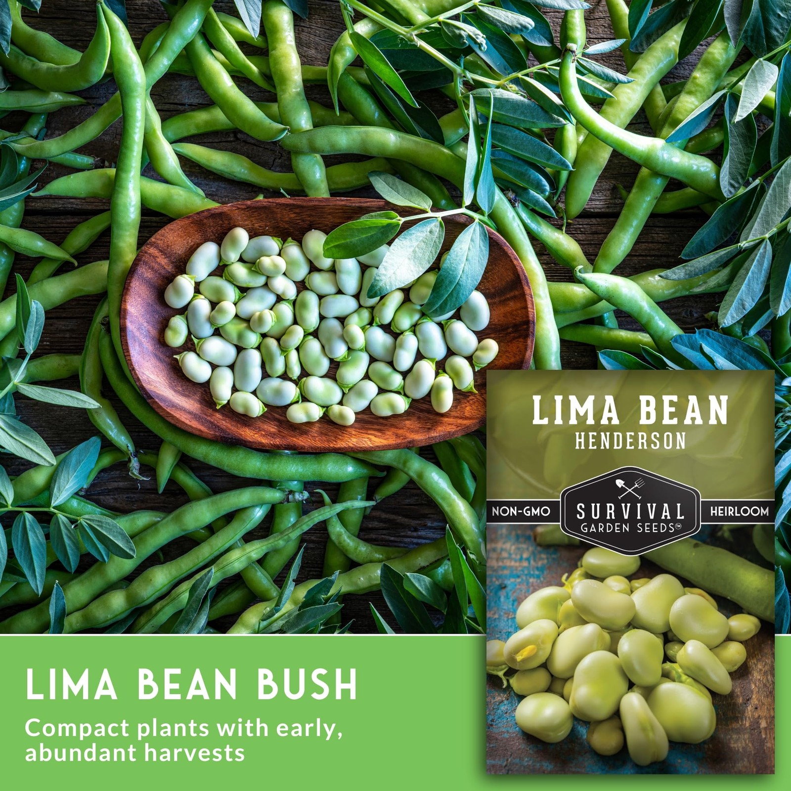 Lima Bean Seeds for Planting NonGMO Heirloom Variety for Gardens & Projects