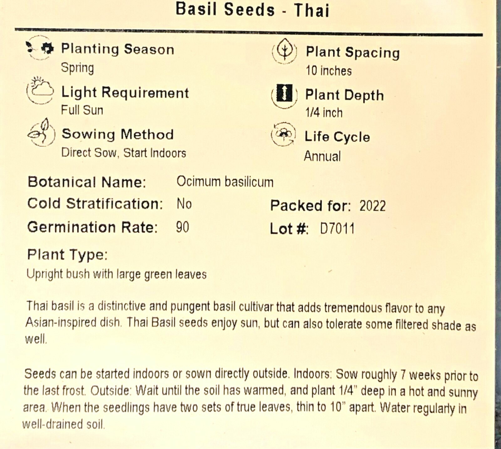 Herb BASIL SIAM QUEEN Edible Culinary Thai Basil Asian Non-GMO 250 Seeds!