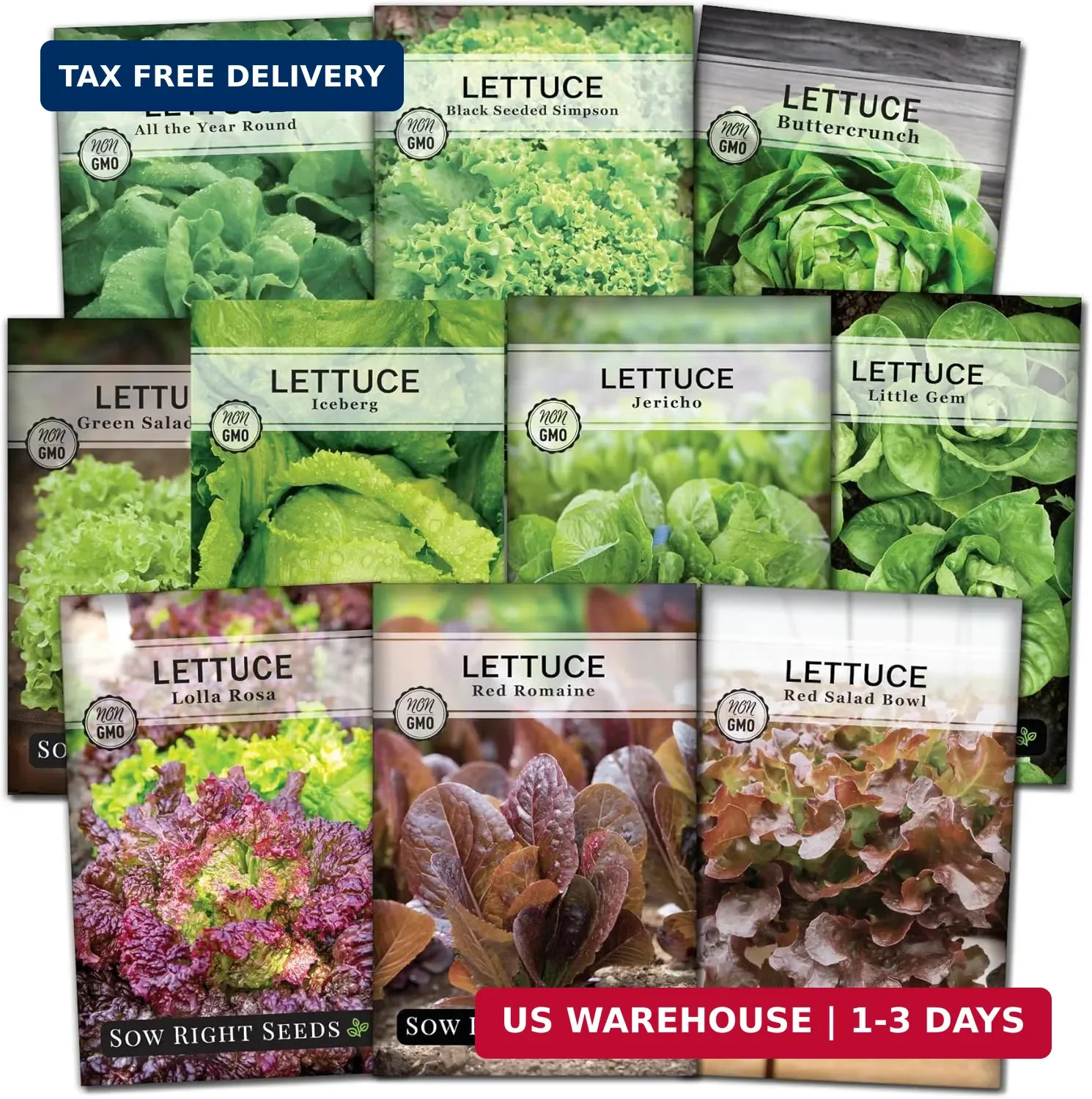 Sow Right Seeds – Large Lettuce Seed Collection for Planting – Buttercrunch, Jer