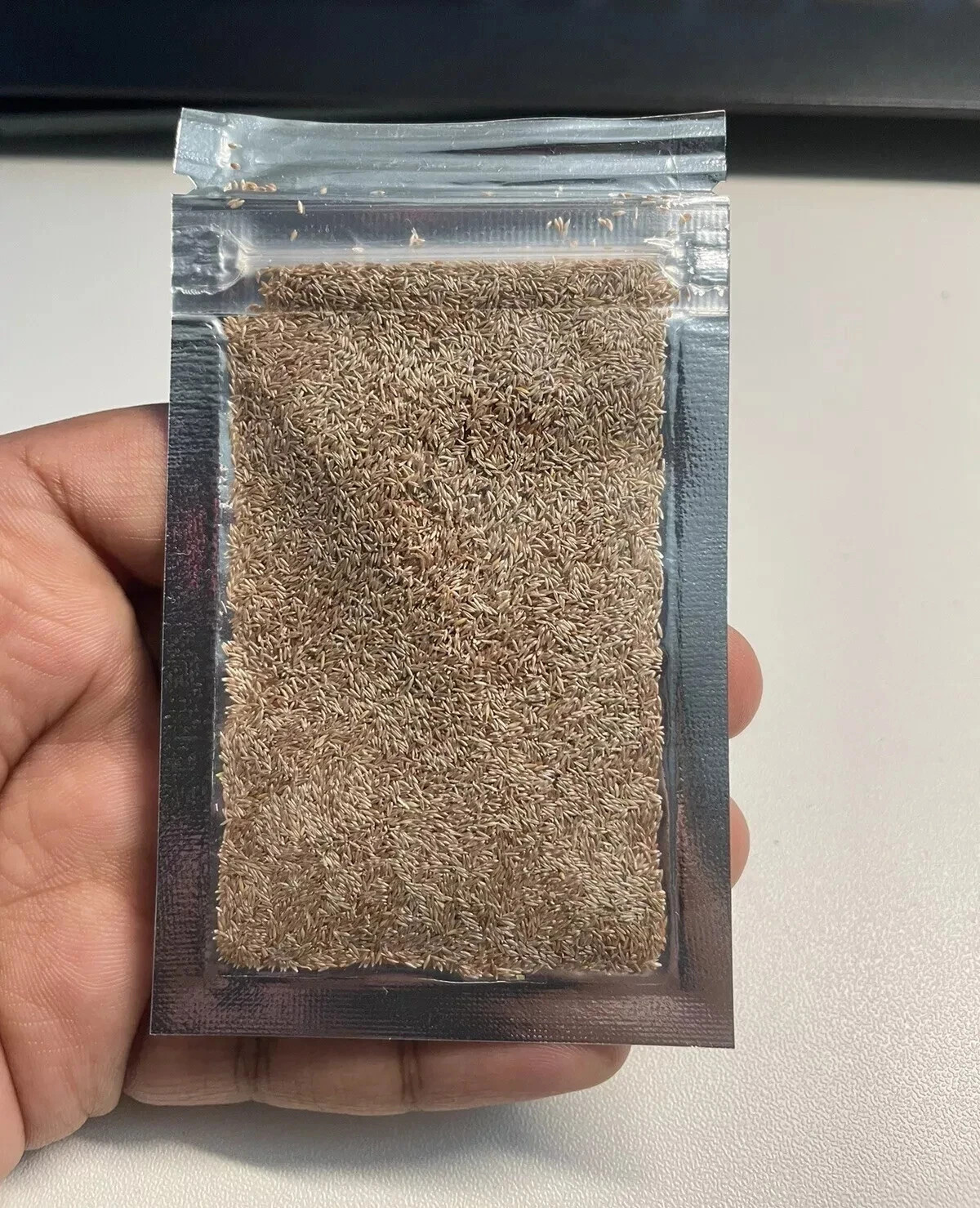 1 Pack Aquarium Grass Seeds (Fine Cow Grass)US Seller Fast Shipping Quality Seed