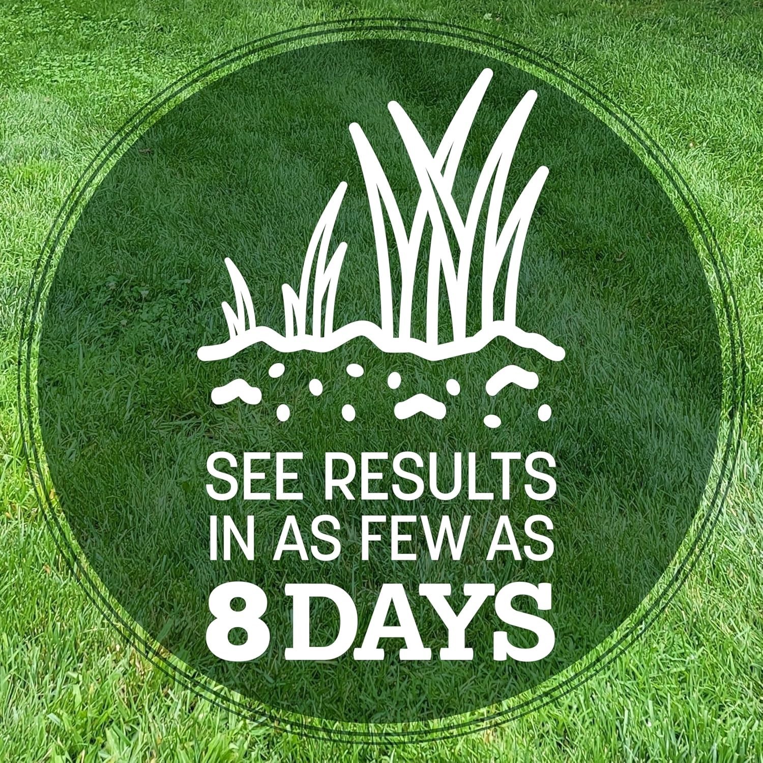 Kentucky 31 Grass Seed, 7 lb Bag, Perfect for Thick Blades & Tough Conditions