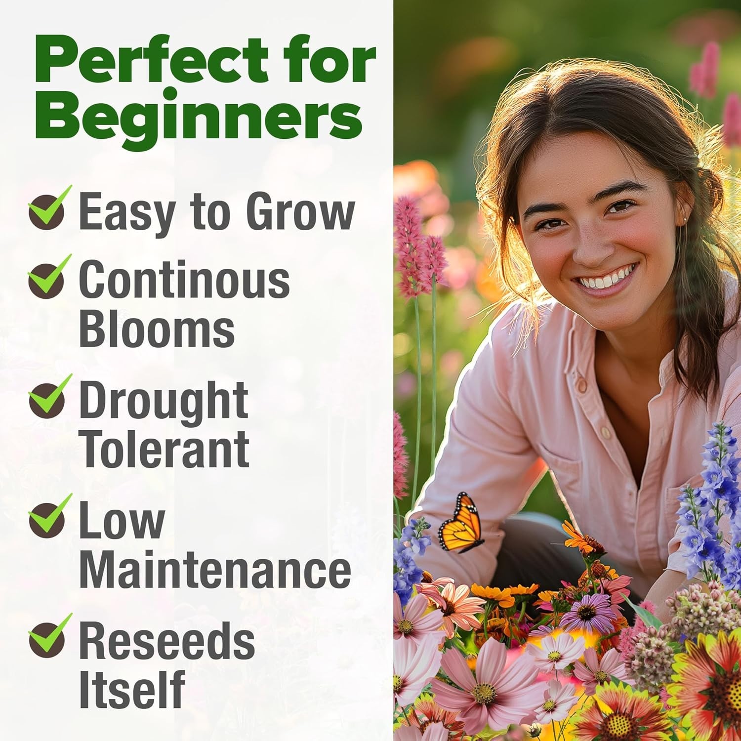 High Germination Monarch Butterfly Seeds Mix – 2oz Non-GMO Wildflowers for Bees