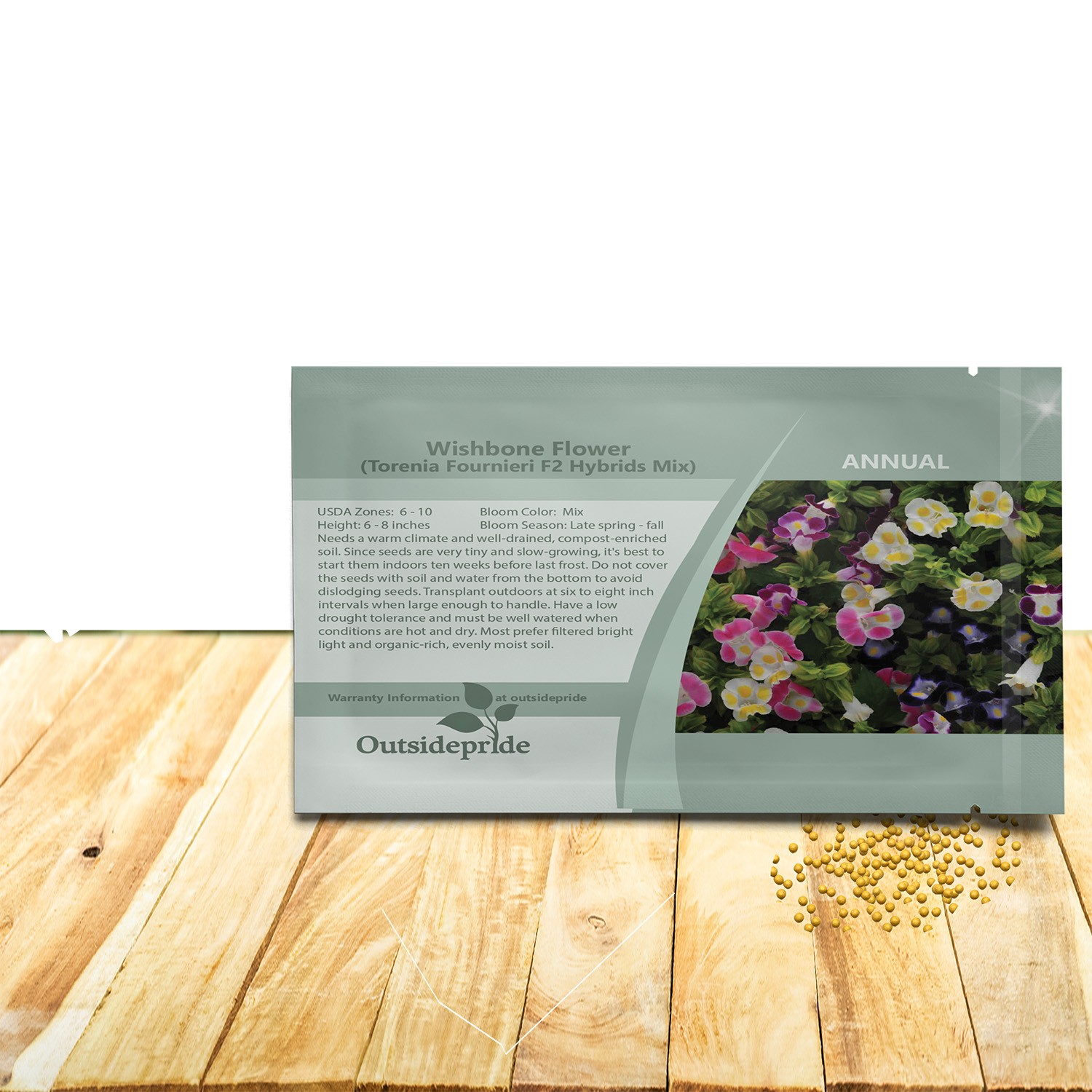 100 Seeds Torenia Fournieri Seeds – Wishbone Flower Seed