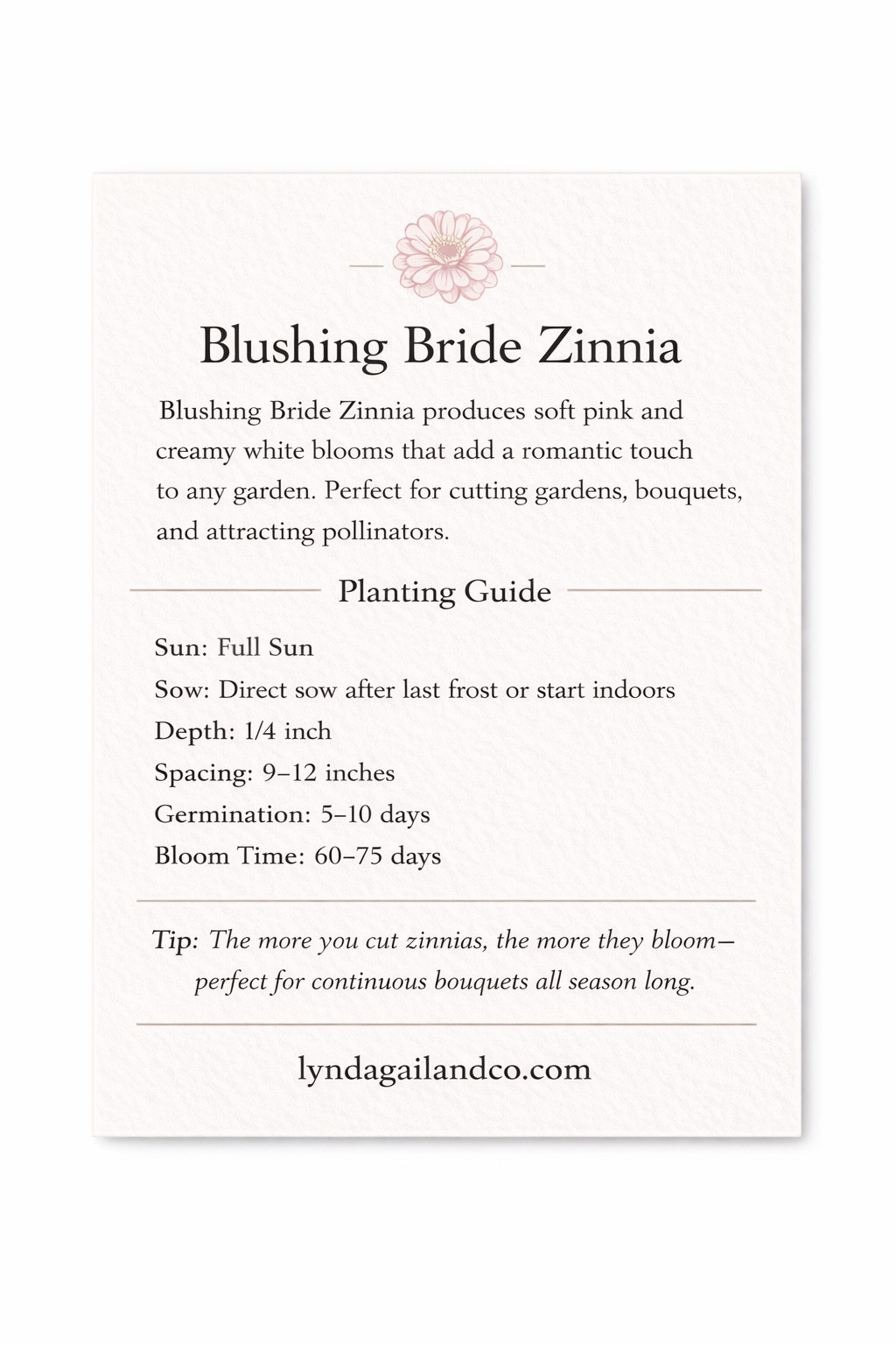 Blushing Bride Mix Zinnia Seeds | Soft Pink & White Zinnia Heirloom Flowers