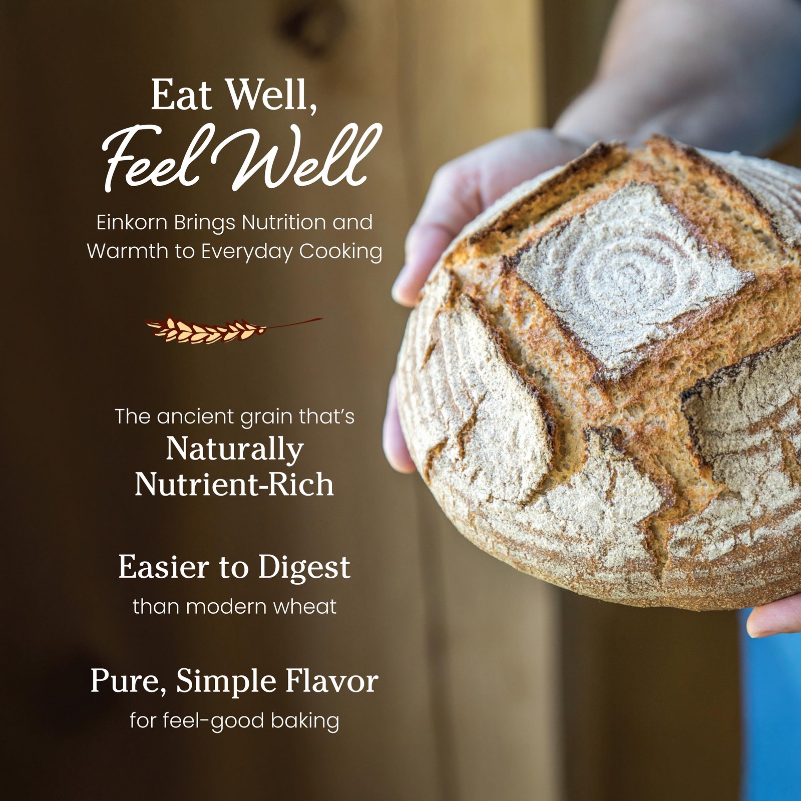 Jovial Organic Einkorn Whole Wheat Flour – Bread Baking 32 Ounce (Pack of 2)