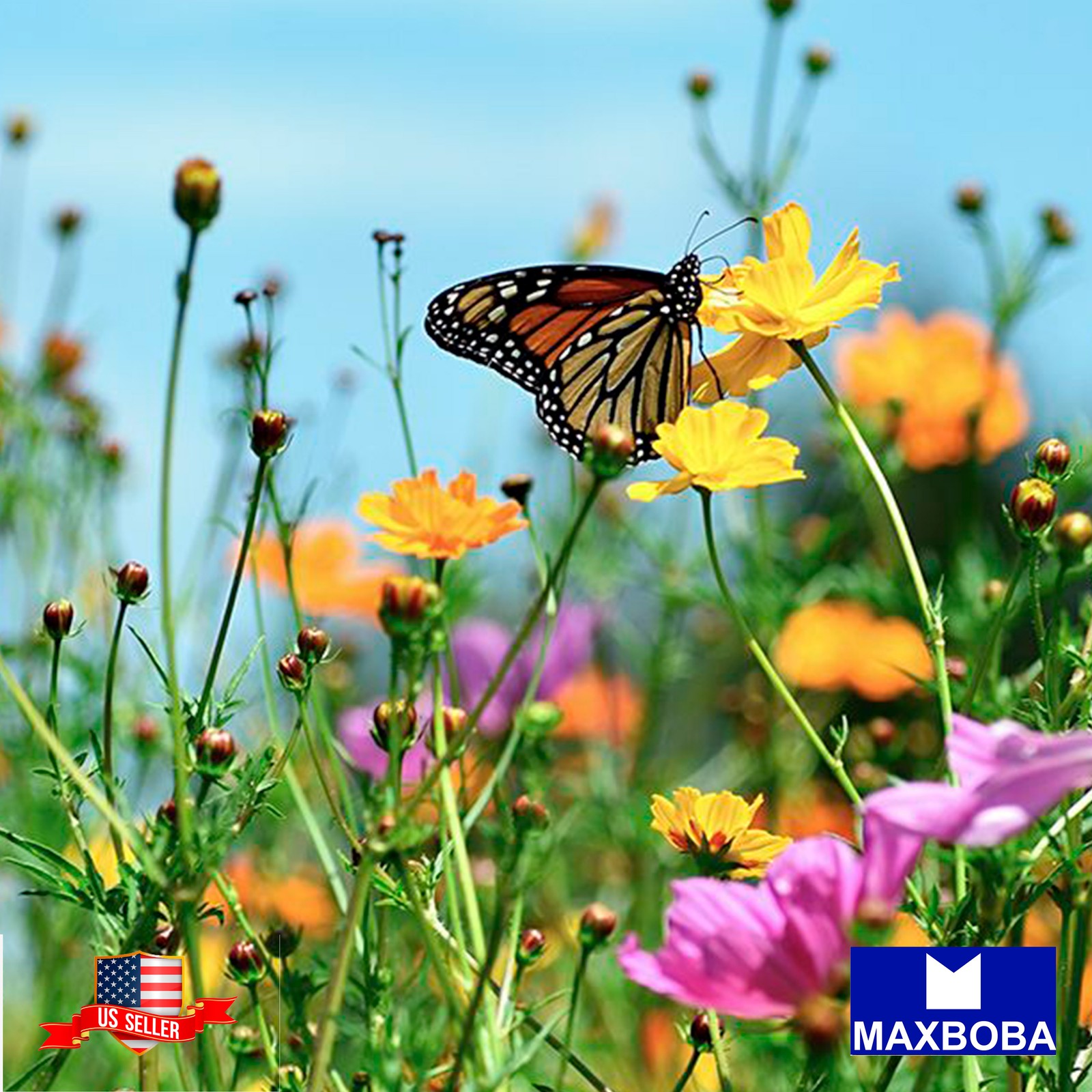 1/8 oz Wildflower Seeds – Monarch Butterfly Mix Non-GMO BOGO 50% OFF