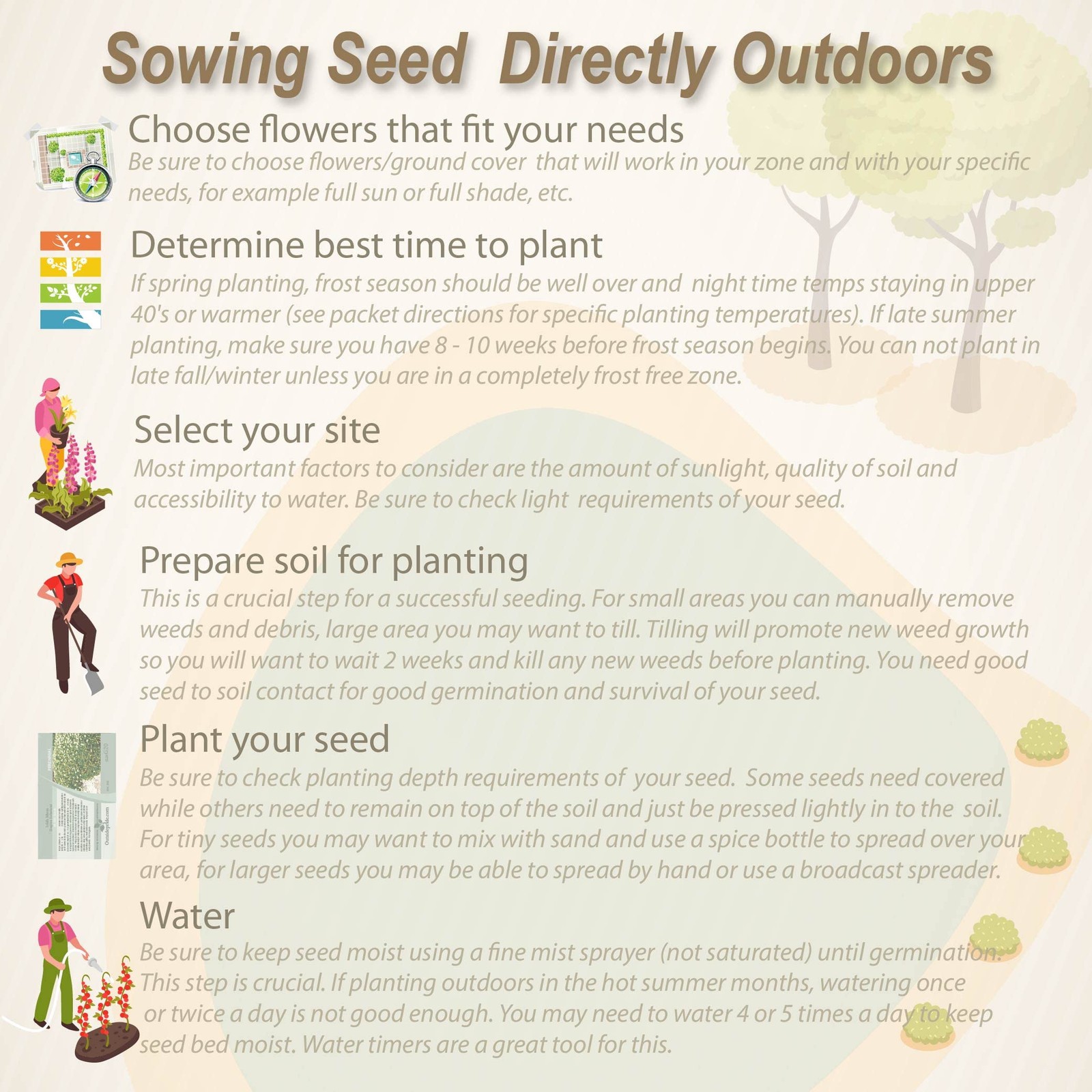 Perennial Wildflower Seed Mix – 1 lb, Easy to Grow, Attracts Pollinators