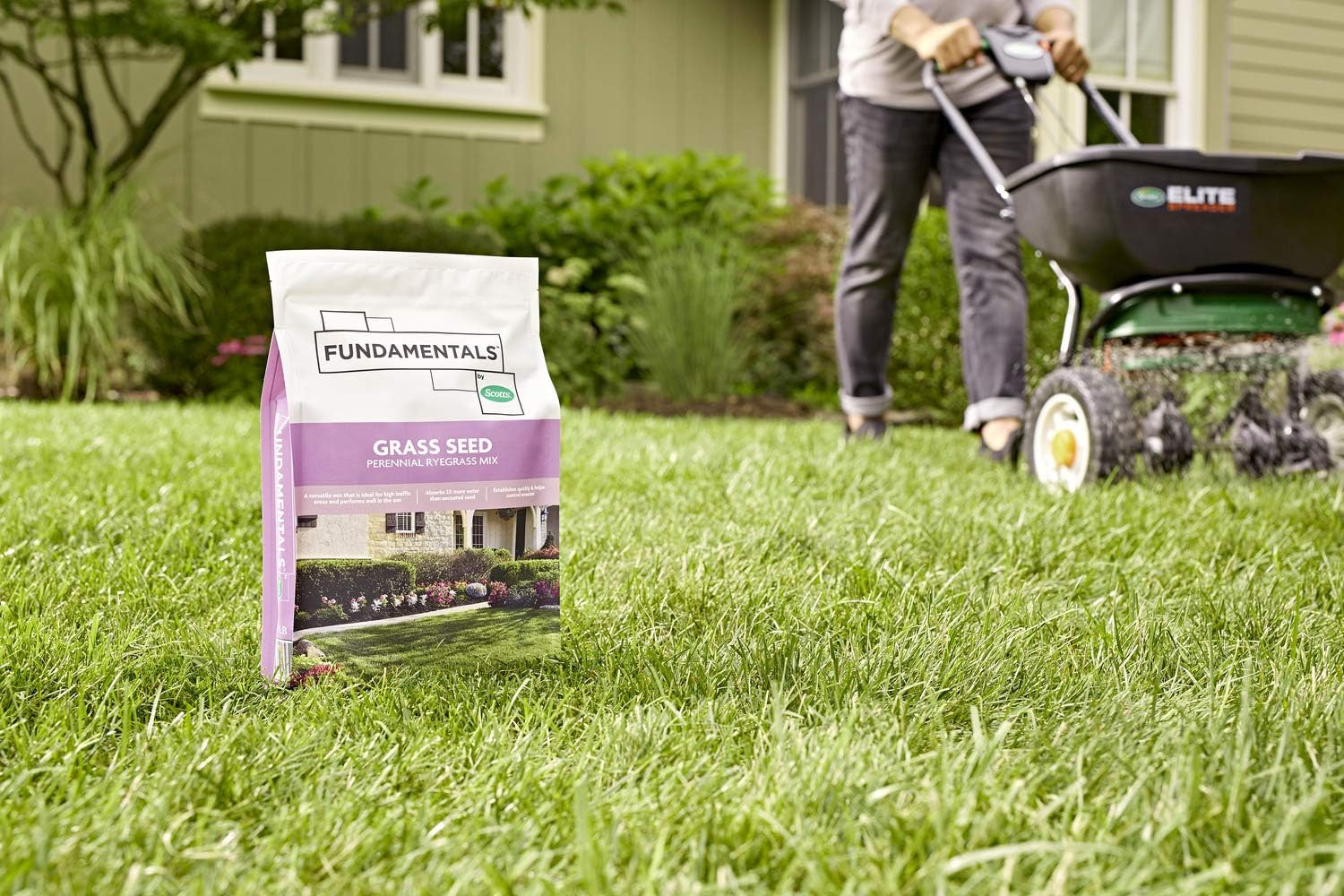 Fundamentals by Grass Seed Perennial Ryegrass Mix, Ideal for Sunny, High Traffi