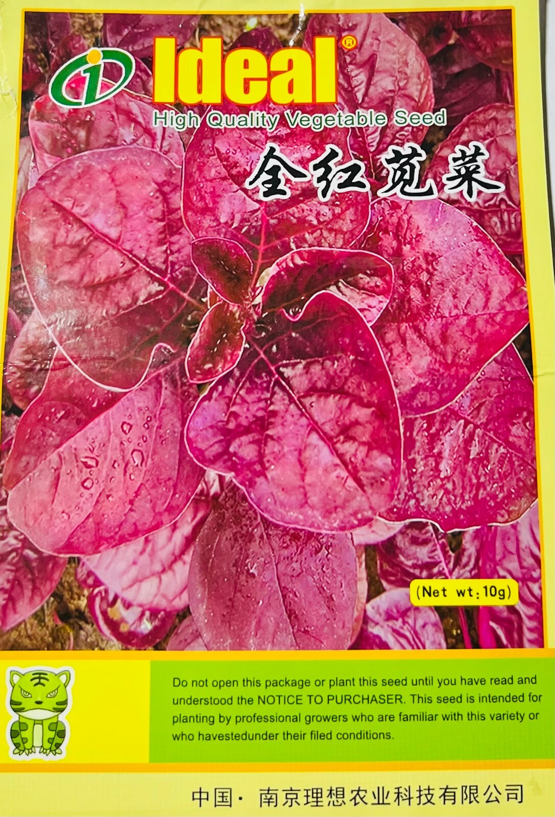 Non-GMO Asian Vegetable Red Amaranth Seeds（全红苋菜）300+Seeds 2023NEW!