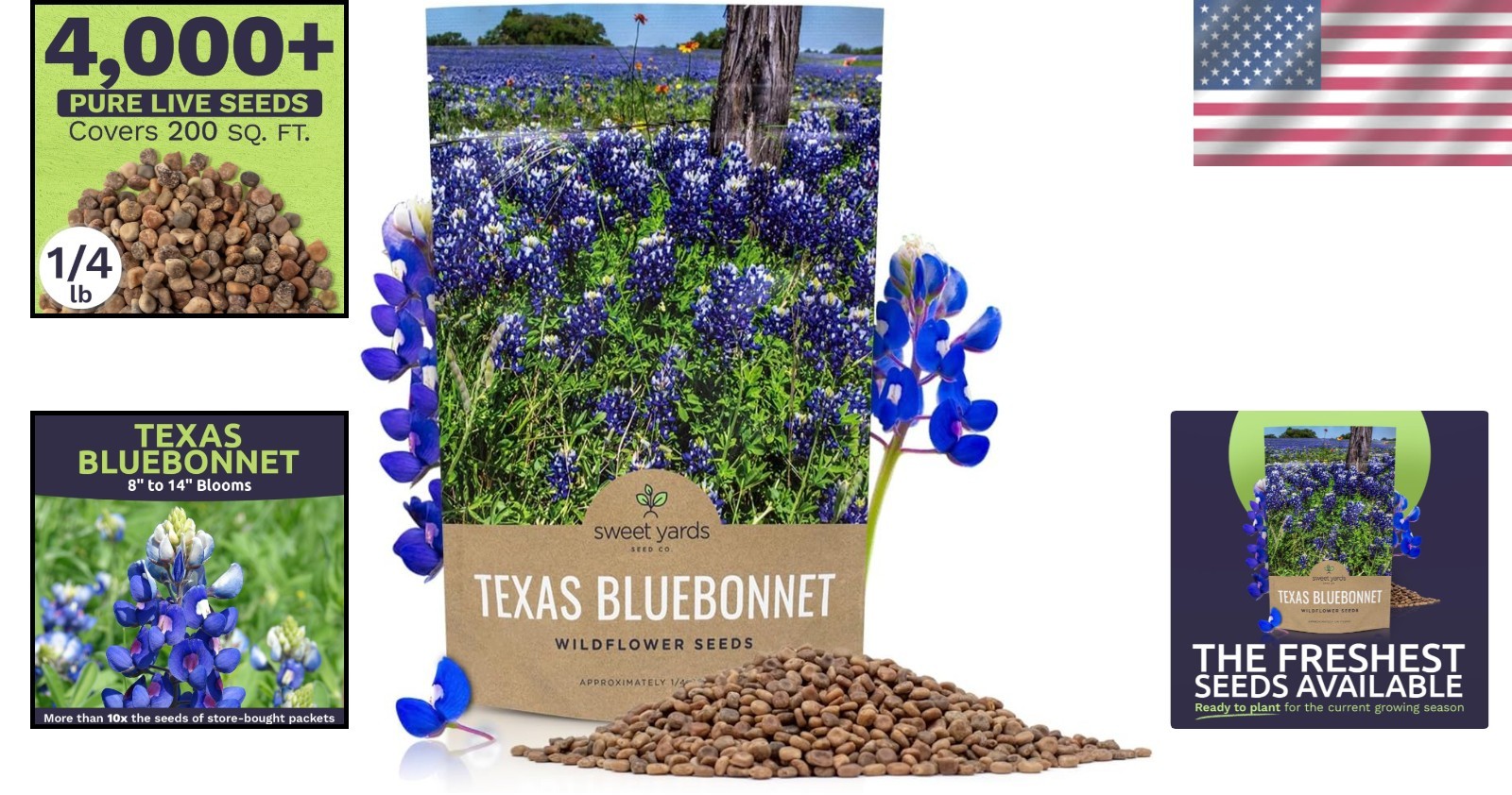 Texas Bluebonnet Seeds – Over 4,000 Native Seeds