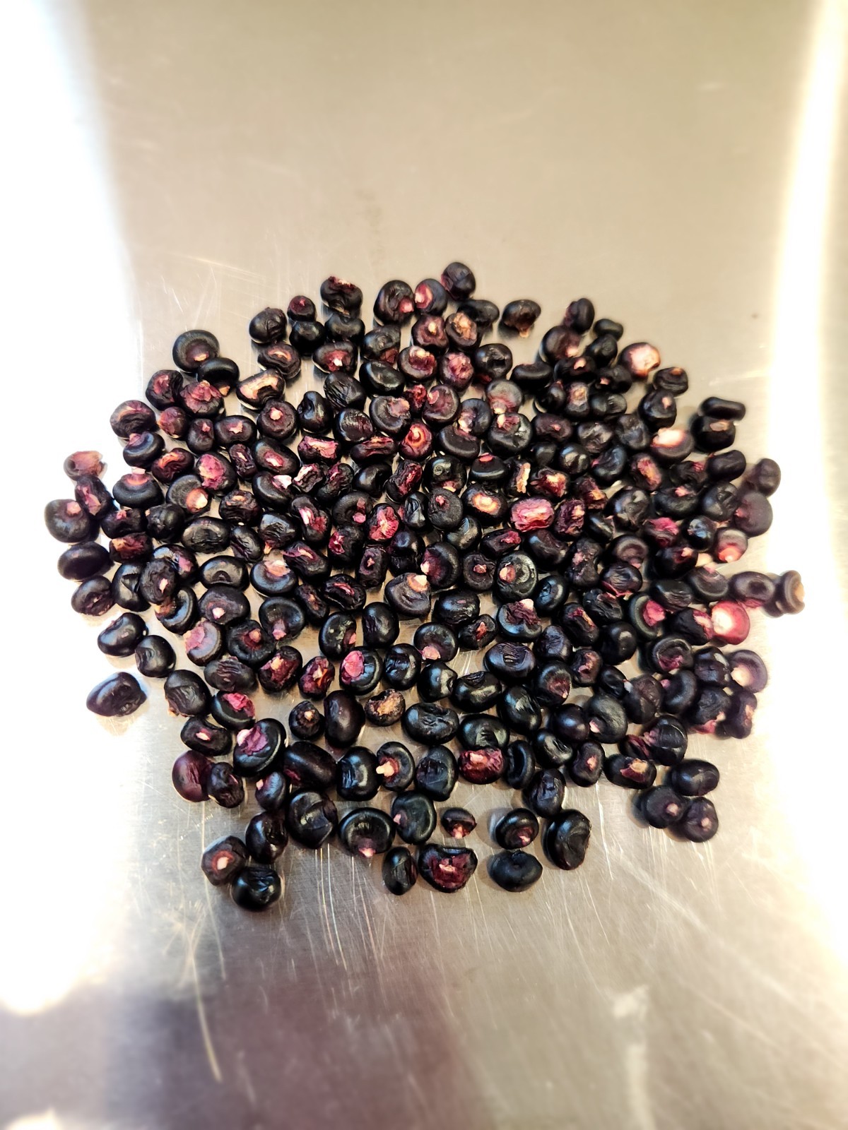 1/2 pound of Morado Corn (seeds)
