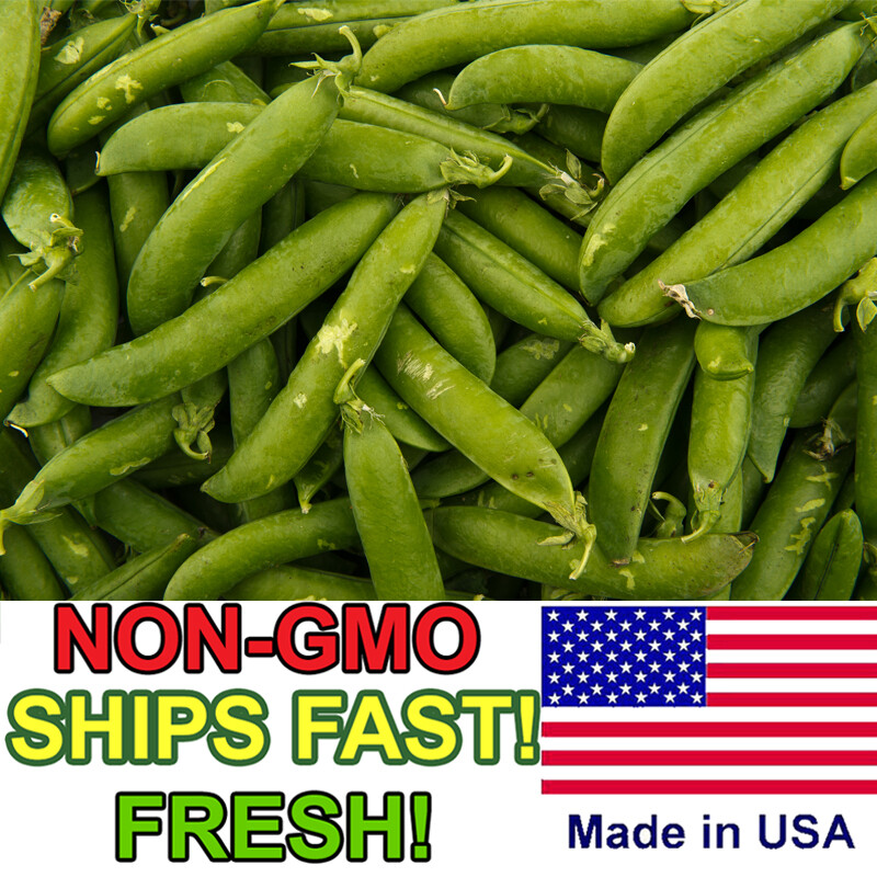 100+ Sugar Snap Peas