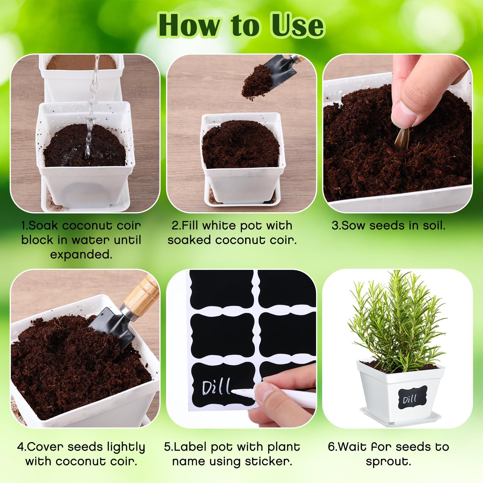 10 Set Indoor Herb Garden Starter Kit, Herb Growing Kit with Pots, Nutritiona…