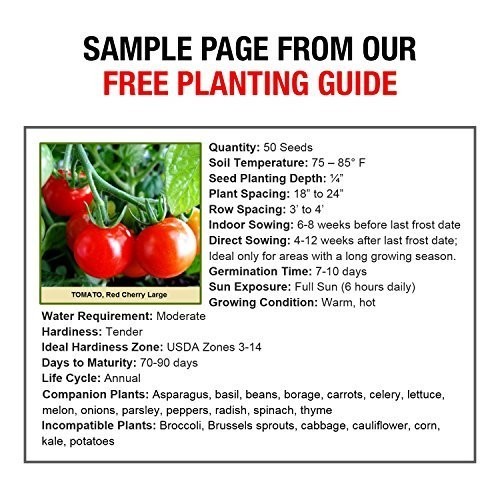 Heirloom Vegetable Seeds 50 Varieties Non GMO Survival Seed Kit 9500 Seeds