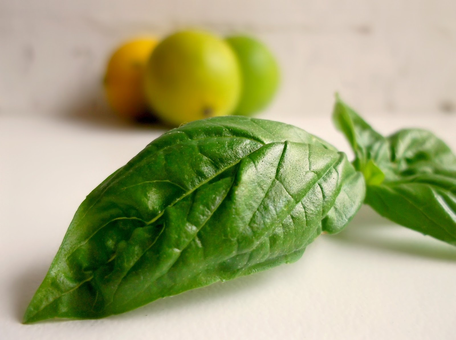 LIME BASIL SEEDS * CITRUS FLAIR * ZESTY AROMA OF LIME * 100 SEEDS* GOURMET *