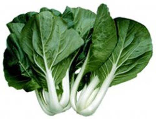 Cabbage Pak Choi White Stem Great Heirloom Vegetable By Seed Kingdom 5 Lb Seeds