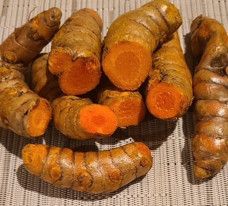 Fresh Organic Yellow Turmeric Root. 1/4-lb package- Free Shipping